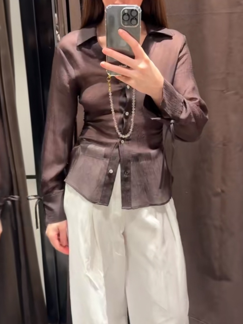 Zara Sheer Button-Front Blouse in Dark Brown